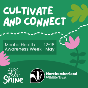 CNTW teams up with Northumberland Wildlife Trust for Mental Health Awareness Week